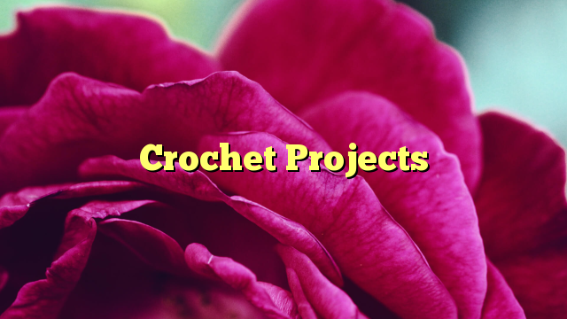 Read more about the article Get Hooked on Crochet Projects: The Ultimate Inspiration Guide